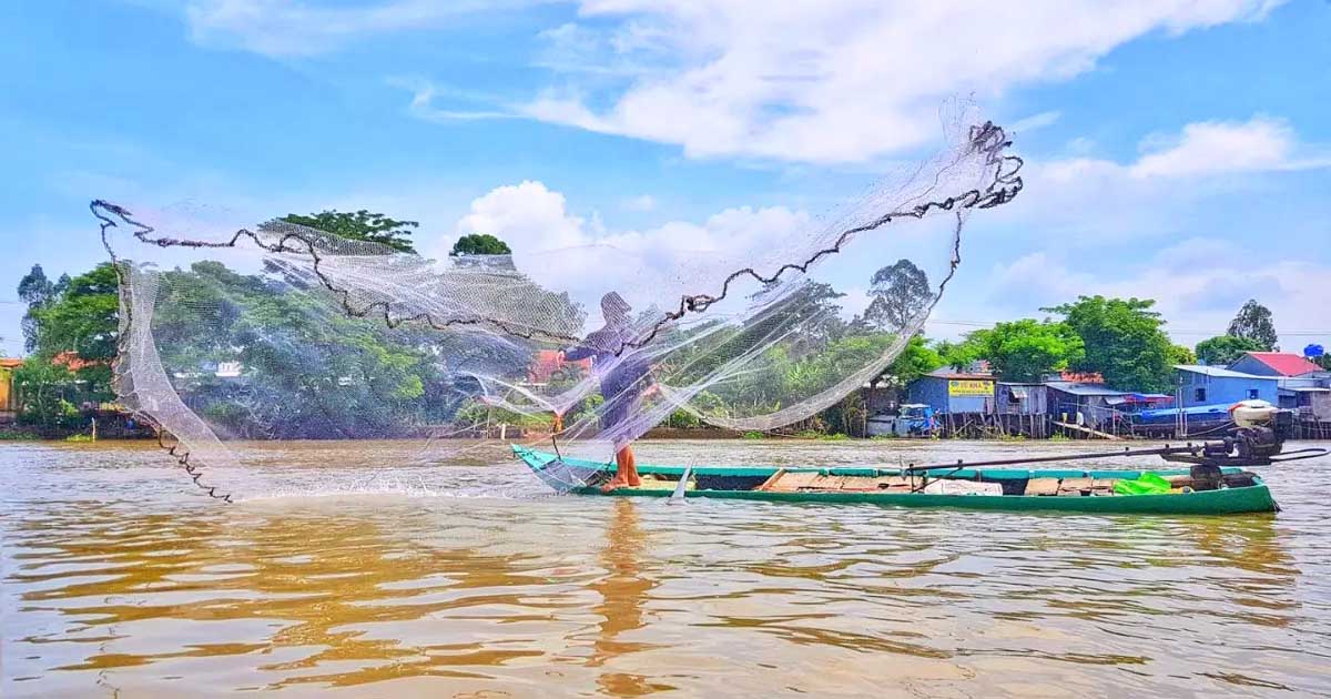 Review Du Lịch Long Xuyên An Giang 1 Ngày – Lịch Trình Trải Nghiệm Trọn Vẹn Từ Sáng Đến Tối